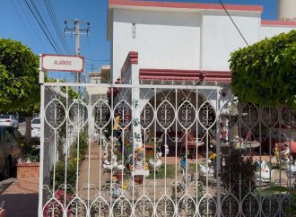 ESPECIAL: Casa de los patos cautiva durante décadas a hermosillenses