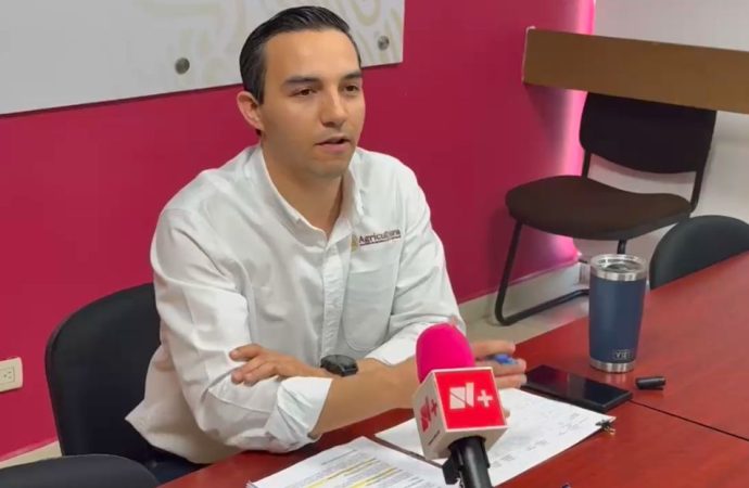 Retoman 100 por ciento exportación de ganado