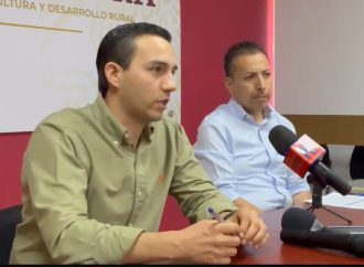 ’El trabajo de sanidad en Sonora es impecable’: SADER