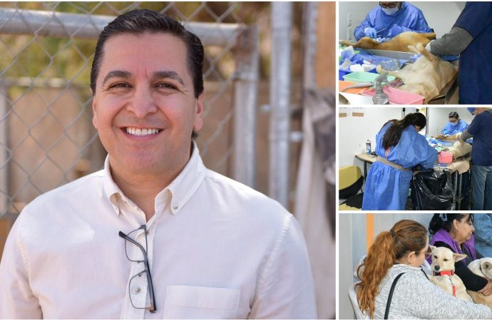 Invita Ayuntamiento de Hermosillo a aprovechar las jornadas de esterilización y desparasitación a perros y gatos
