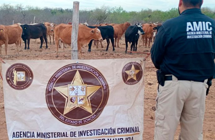 Suman 15 denuncias por abigeato este año en Sonora