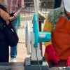 Arranca programa de canje de armas en Sonora