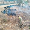 Activa ejército Plan DNIII por incendio forestal en Yécora, Sonora