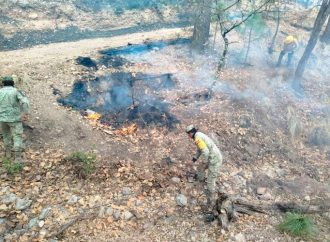 Activa ejército Plan DNIII por incendio forestal en Yécora, Sonora