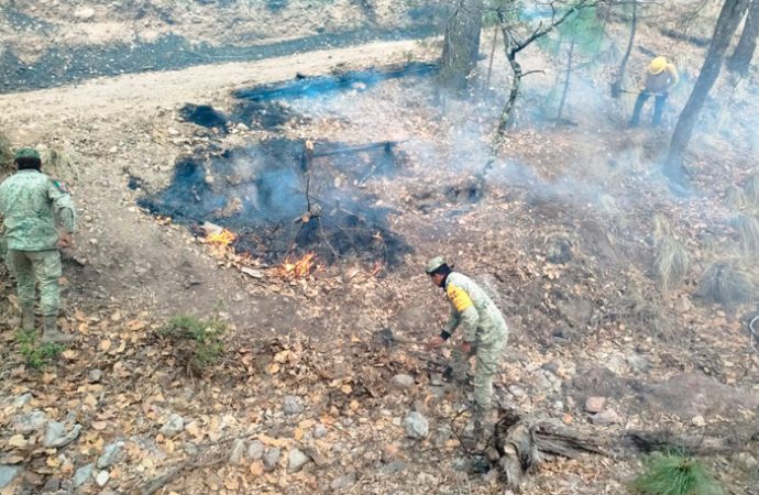 Activa ejército Plan DNIII por incendio forestal en Yécora, Sonora