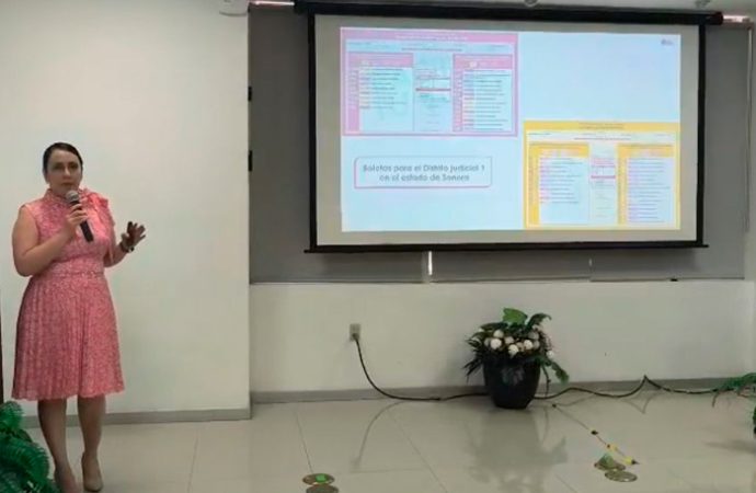 Afirman justa representatividad en boletas para elección judicial
