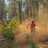 Avanza control de incendio forestal en Nácori Chico