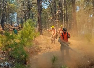 Avanza control de incendio forestal en Nácori Chico