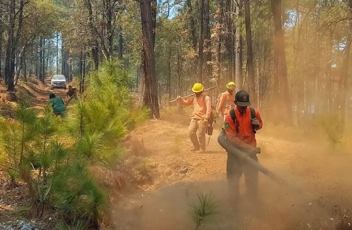 Avanza control de incendio forestal en Nácori Chico