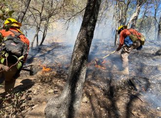 Organizan colecta en apoyo a brigadistas forestales de Sonora