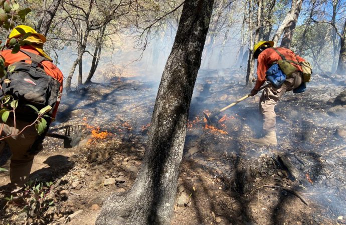 Organizan colecta en apoyo a brigadistas forestales de Sonora
