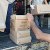 Llegan a Sonora 14 millones de boletas para la elección de cargos judiciales