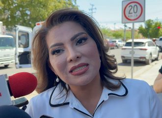 Podrán armarse empleados de CFE y SAT tras aprobación