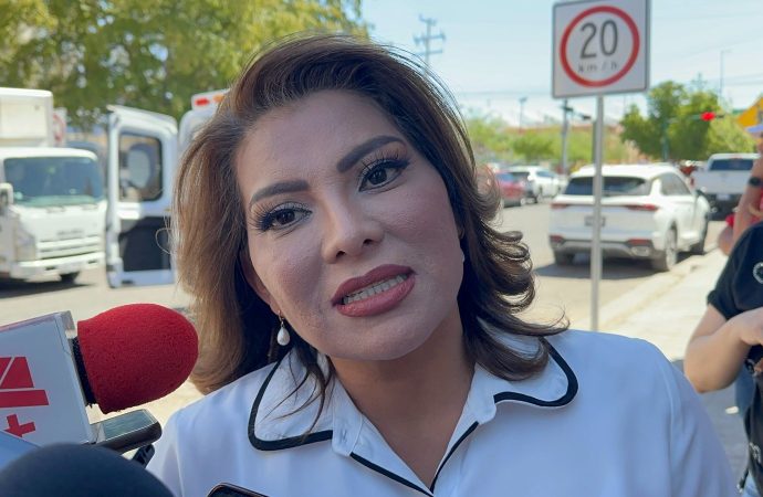 Podrán armarse empleados de CFE y SAT tras aprobación