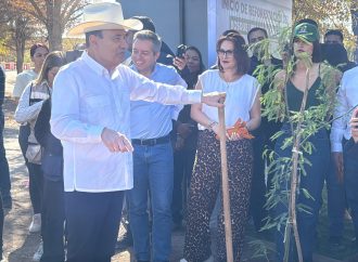Durazo arranca reforestación en la Sauceda como parte de su segunda etapa de rescate
