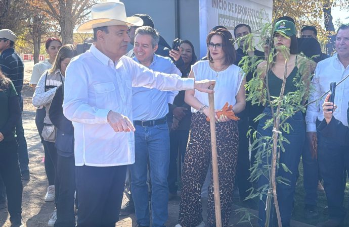 Durazo arranca reforestación en la Sauceda como parte de su segunda etapa de rescate