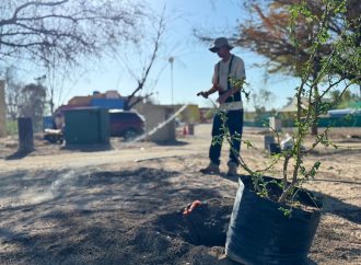 Inicia reforestación de Bosque Urbano La Sauceda
