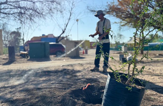 Inicia reforestación de Bosque Urbano La Sauceda