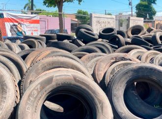 No hay dengue, zika y chikunguya en Cajeme, afirman autoridades
