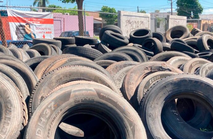 No hay dengue, zika y chikunguya en Cajeme, afirman autoridades