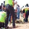 Sonora se une a más de un millón de jóvenes en la Jornada Nacional de Tequios por la Paz y contra las Adicciones