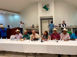 Productores apuestan por reactivación del Plhino ante crisis de sequía