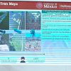 Presidenta Sheinbaum destaca inicio de trenes a Pachuca, Querétaro y vía de carga del Tren Maya