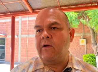 50 por ciento de avance en cosechas de trigo en valle del Yaqui