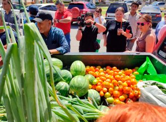 Alumnos de la Unison cosechan sus propias hortalizas para compra de tractor