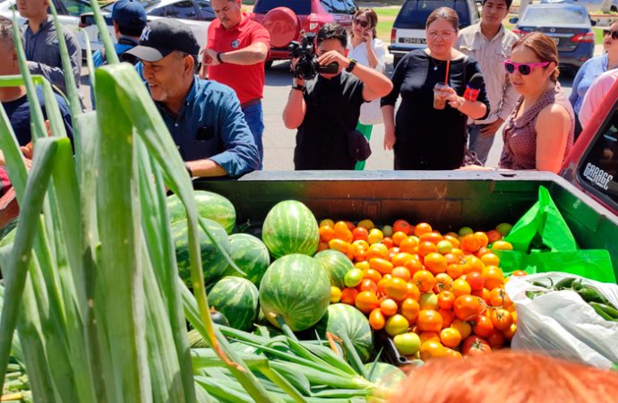 Alumnos de la Unison cosechan sus propias hortalizas para compra de tractor