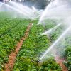 Falta de empleos en el campo genera inseguridad