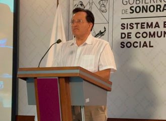 Inicia proceso para recibir delfinoterapia en Sonora
