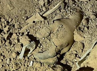 Hallan cuerpo en fosa séptica en La Choya; Madres Buscadoras alertan sobre más restos