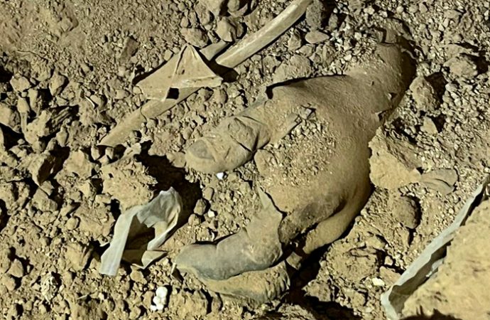 Hallan cuerpo en fosa séptica en La Choya; Madres Buscadoras alertan sobre más restos