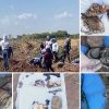 Hallan 11 osamentas en el Valle del Yaqui; hay restos de al menos tres mujeres