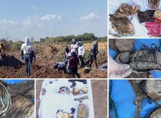 Hallan 11 osamentas en el Valle del Yaqui; hay restos de al menos tres mujeres