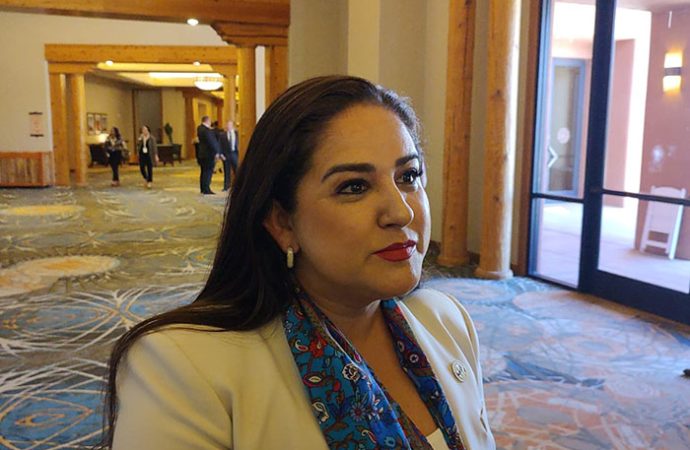 Buscan la reapertura de la frontera para la exportación de ganado