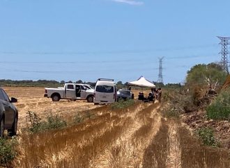 Van 20 osamentas encontradas en el Valle