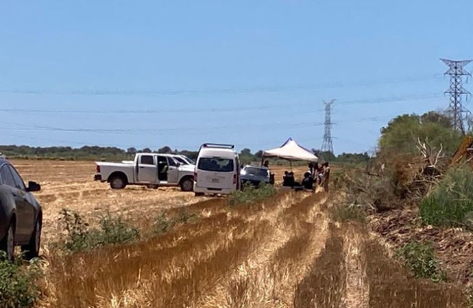 Van 20 osamentas encontradas en el Valle