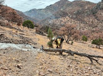 Sonora extingue todos los incendios forestales de 2025