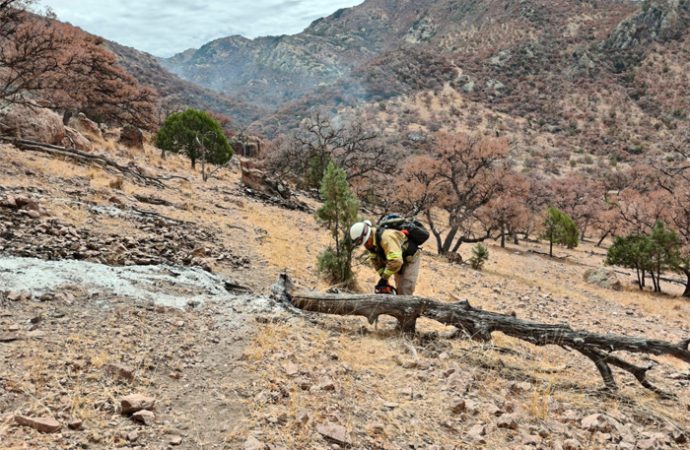 Sonora extingue todos los incendios forestales de 2025