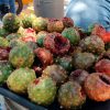 Comienza la venta de pitayas en el centro de Hermosillo