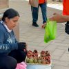 Pitayas inundan las calles de Hermosillo y llevan el sabor del desierto a la ciudad