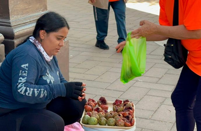Pitayas inundan las calles de Hermosillo y llevan el sabor del desierto a la ciudad