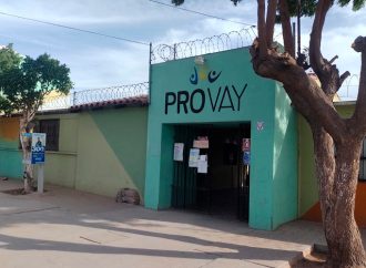 PROVAY organiza cursos de verano