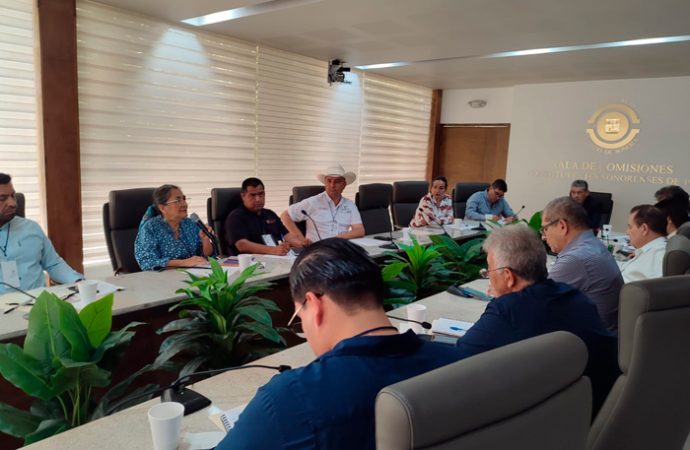 Solicitan a diputados locales mayor cobertura de programas a comunidades indígenas