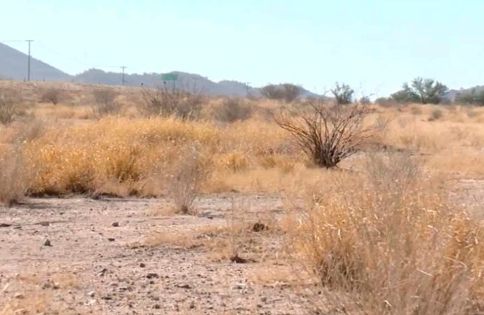 Para el Valle del Yaqui piden productores declaratoria de desastre