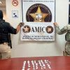 Acciones de la AMIC en Cajeme arrojan resultados positivos