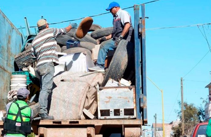 Instituciones de salud refuerzan acciones de descacharre en Cajeme