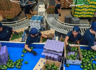 Comerciantes sonorenses muestran preocupación por arancel a productos mexicanos